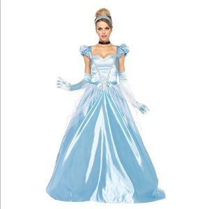 Disney Women’s Cinderella Classic 3 Piece Costume